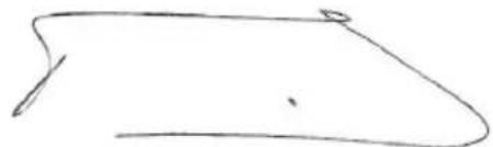 PowerPlus POWXG30030 - DECLARATIA DE CONFORMITATE - 3