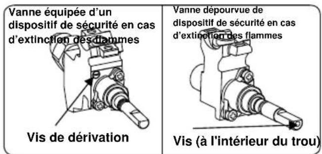 BELLING SE 90 DFT inox - Réglage de la position minimale de la flamme : - 1