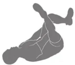 BOWFLEX Max Trainer M3 - Figure en forme de quatre en position couchée - 1