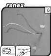 Ranex Bastia - 11