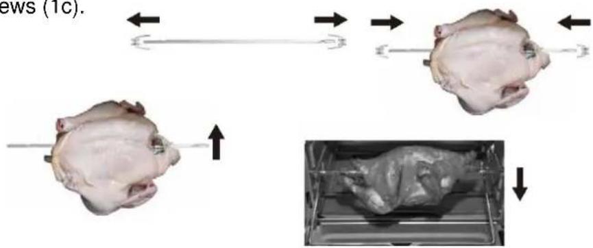 CASO TO26 electronic - Use of rotisserie - 2