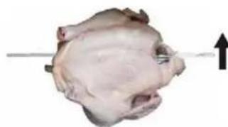 CASO TO26 electronic - Uso del pincho giratorio - 4