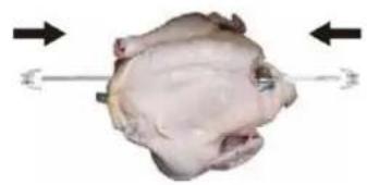 CASO TO26 electronic - Uso del girarosti - 3