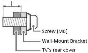 Screw (M6) Wall-Mount Bracket TV's rear cover