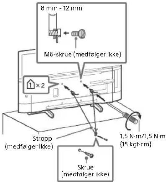 8 mm - 12 mm M6-skrue (medfølger ikke) 1 x 2 Stropp (medfølger ikke) 1,5 N·m/1,5 N·m {15 kgf·cm} Skrue (medfølger ikke)