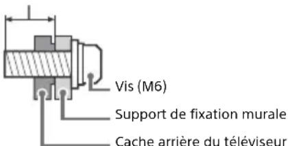 Vis (M6) Support de fixation murale Cache arrière du téléviseur