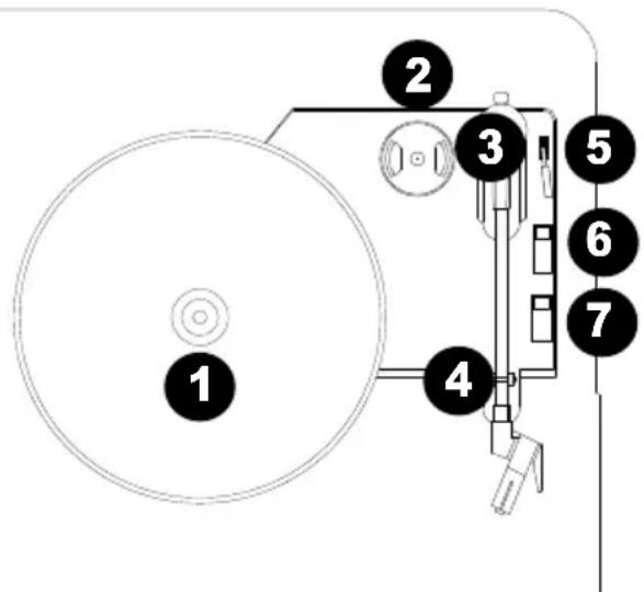 ION Mustang LP - Modo vinilo - 1