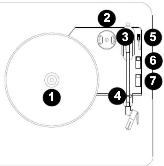 ION Mustang LP - Lecture de disques vinyles - 1