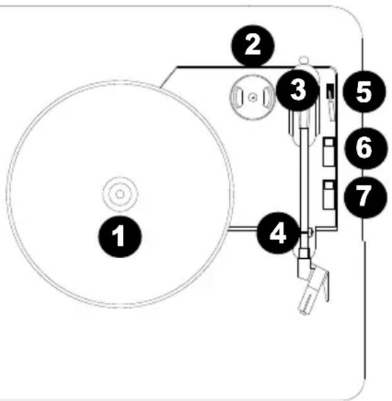 ION Mustang LP - Top Panel - 1