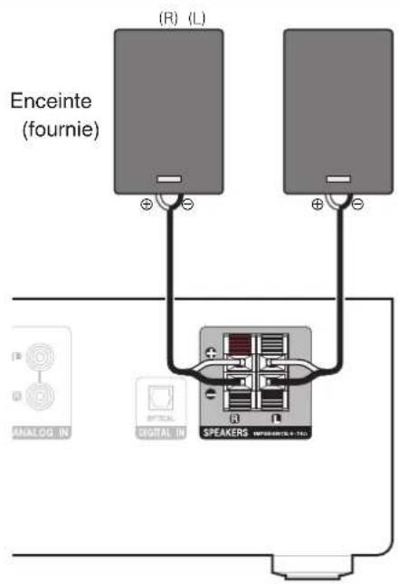 DENON DT1 - Connexion des cables d'enceinte - 5
