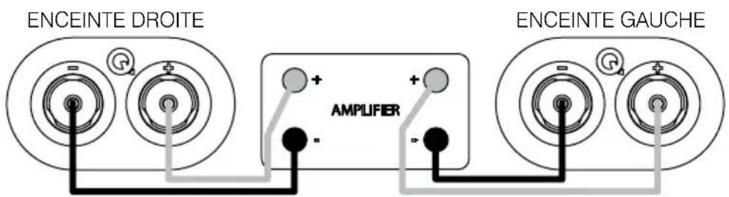 Q-ACOUSTICS 3000i - Connexions standard - 1