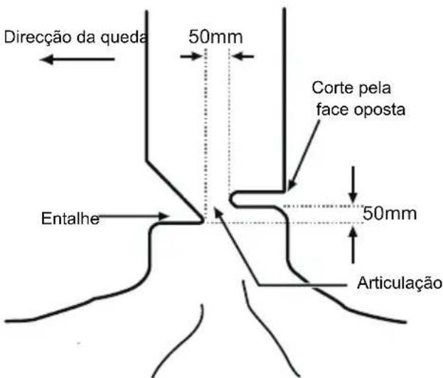 MCCULLOCH Li 40CS - CORTE FINAL DE UMA OPERACION PARA CORTAR - 1
