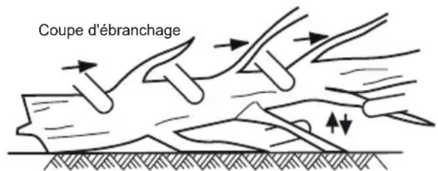 MCCULLOCH Li 40CS - EBRANCHAGE D'UN ARBRE - 1
