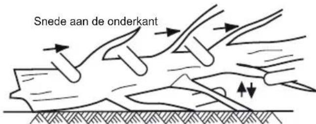 MCCULLOCH Li 40CS - TAKKEN VAN EEN GEVELDE BOOM AFZAGEN - 1