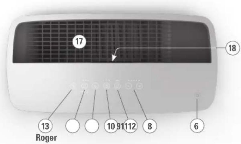 Roger &amp; Roger little 2