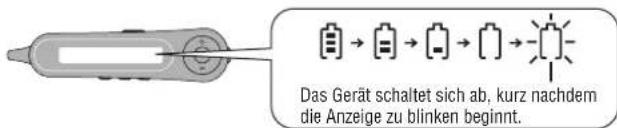 PANASONIC SLJ900 - Die Batterieanzeige - 1