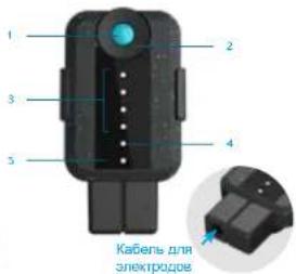 BLUETENS Duo Sport - Komnnekt noctabkn - 1