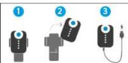 BLUETENS Duo Sport - The Duo Sport - 2