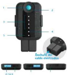 BLUETENS Duo Sport - El Duo Sport - 1