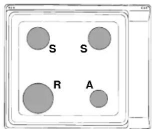 INDESIT P 40 (IX)IB - Characteristic of the burners and nozzles - 2