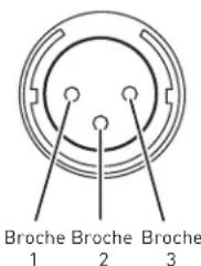 Mark Levinson No 523 - Connecteurs d'entrée - 2