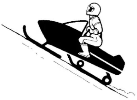 YAMAHA APEX XTX (2011) - AVERTISSEMENT - 1