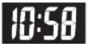 CASIO Wave Ceptor WV200DA1A - À propos de ce manuel - 3