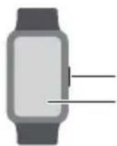 HUAWEI Watch Fit Elegant - Carregar - 1