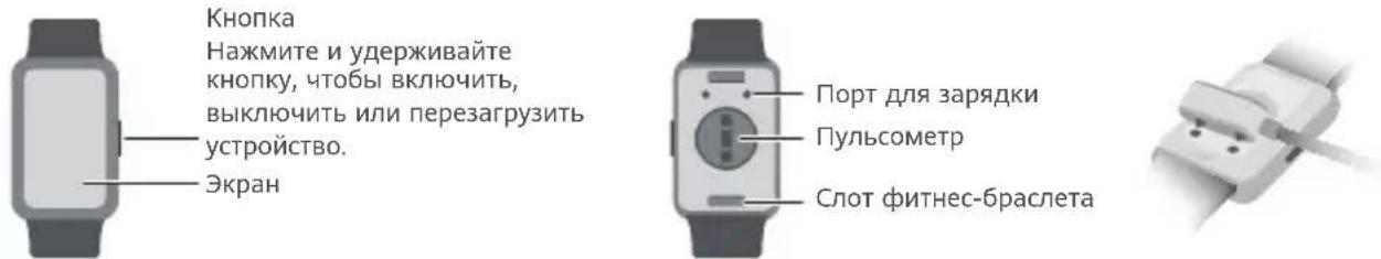 HUAWEI Watch Fit Elegant - Зарядка - 1