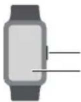 HUAWEI Watch Fit Elegant - 1