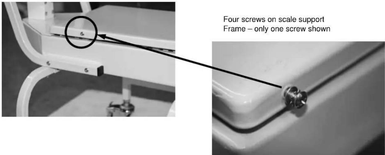 Four screws on scale support Frame – only one screw shown
