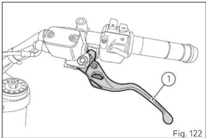 DUCATI 1100 (2020) - Important - 1
