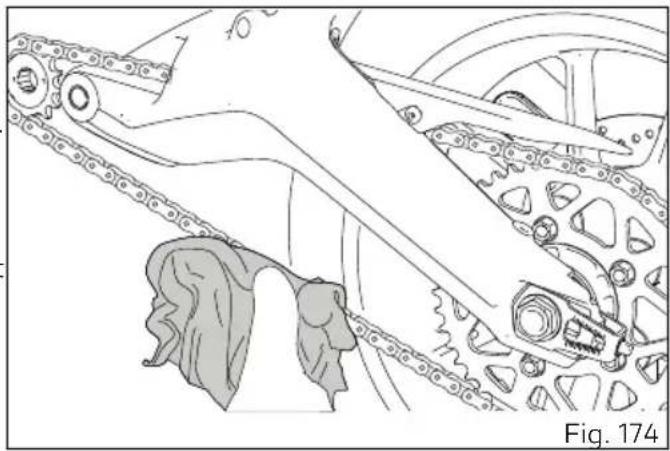 DUCATI 1100 (2020) - Important - 1