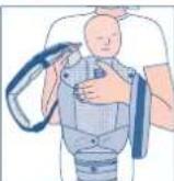 JANE Revolution - BABY SITZEND IN LAUFRICHTUNG (MIT ODER OHNE SITZ) - BIS 15 KG. - 13