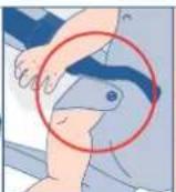 JANE Revolution - CROSSOVER STRAPS - 15