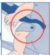 JANE Revolution - TIRANTES CRUZADOS - 17