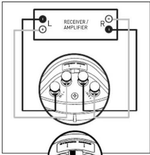Paradigm CI Elite E80A - SPEAKER CONNECTION - 4