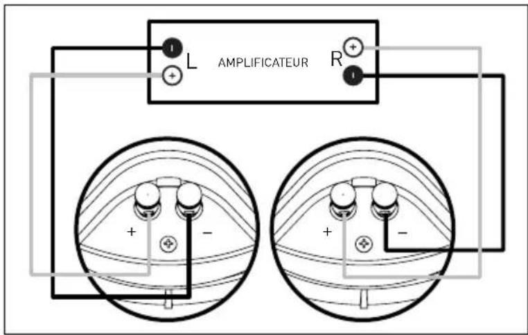Paradigm CI Elite E80A - RACCORDEMENT DES ENCEINTES - 1