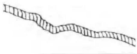 POLARIS Sportsman X2 570 EPS (2021) - AVERTISSEMENT - 2