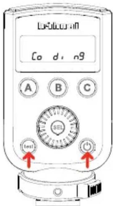 Hähnel MODUS 360RT (Sony) - - DCM Master – Viper Mini or Modus 360RT - 1