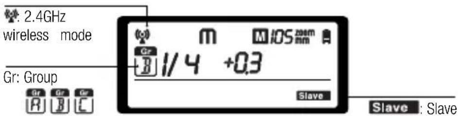 Hähnel MODUS 360RT (Sony) - - Slave unit - 1