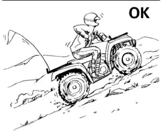YAMAHA Kodiak 450 (2023) - Avertissement - 1