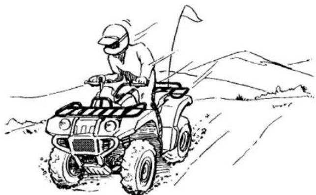 YAMAHA Kodiak 450 (2023) - Avertissement - 1