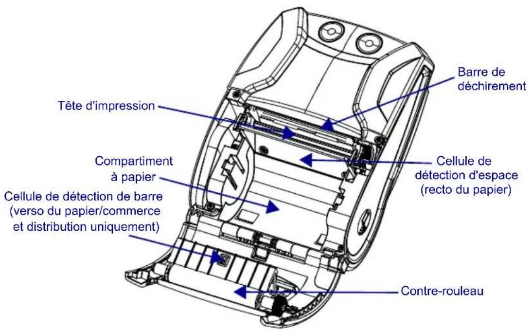 ZEBRA ZQ300 - Instructions générales de nettoyage - 7