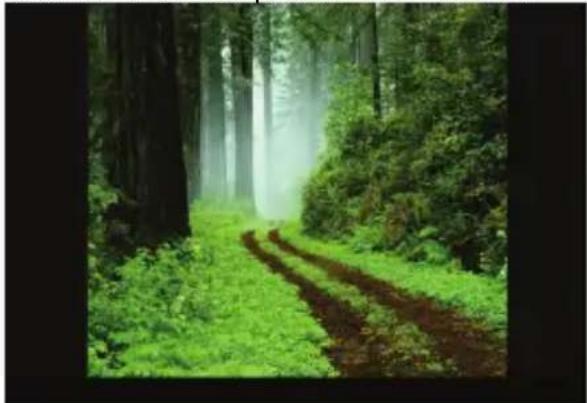 Nextbook 8 NX785QC8G - Viewing Photos - 2