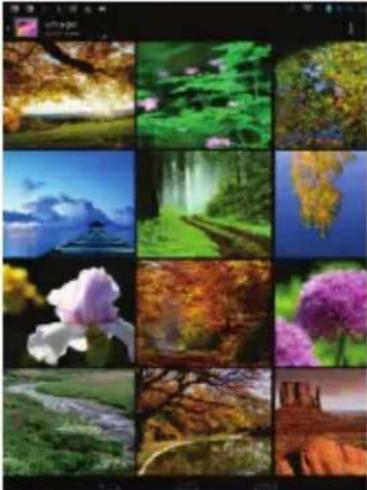 Nextbook 8 NX785QC8G - Affichage de photos - 1