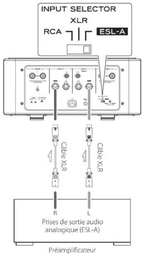 Esoteric Grandioso S1X - Branchement à un préamplificateur par liaison ES-LINK Analog - 1