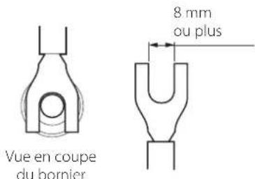 Esoteric Grandioso S1X - Si vous utilisez des cosses à fourche - 2
