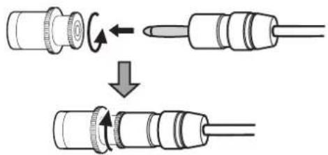 Esoteric Grandioso S1X - When using banana plugs - 1