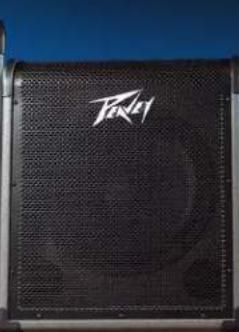 PEAVEY MAX 100 - MAX® Series Bass Amplifiers - 2